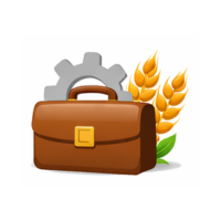 Rachyita Foundation Our Work Livelihood